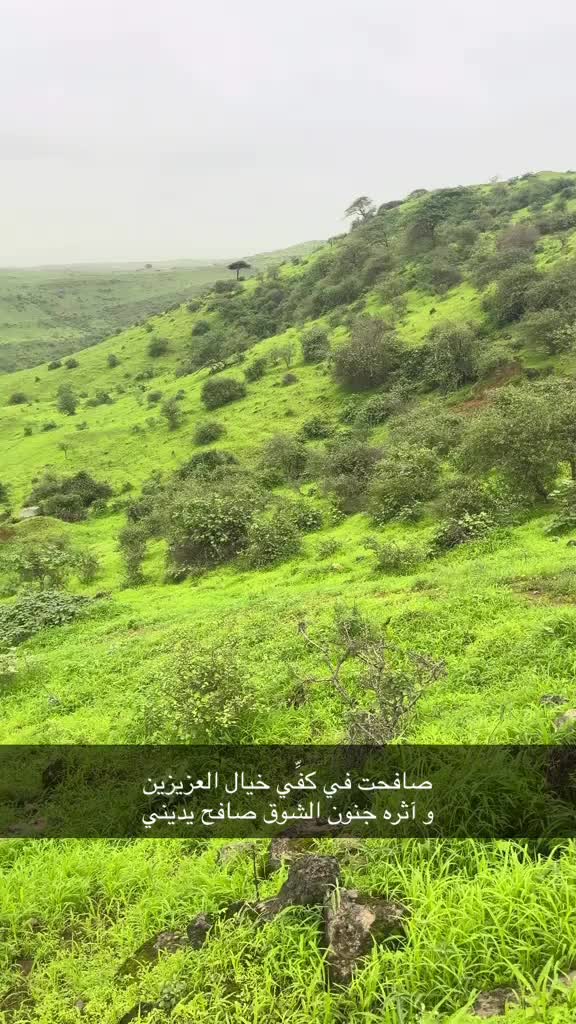 @فيصل🐎
