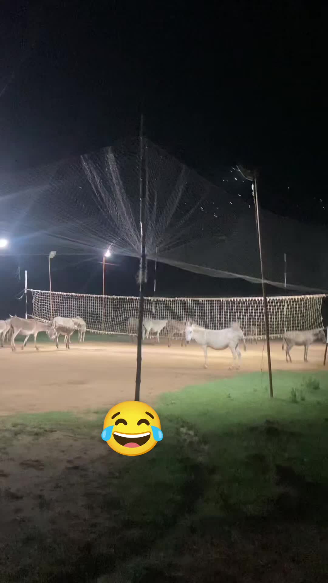@مسعود ٹوانہ 🇵🇰🇦🇪🇸🇦