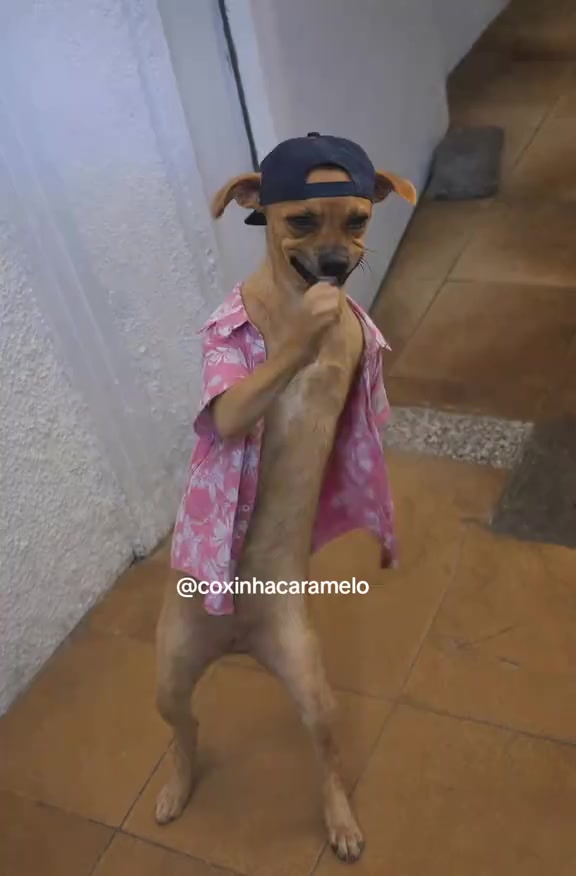 @user42603887362