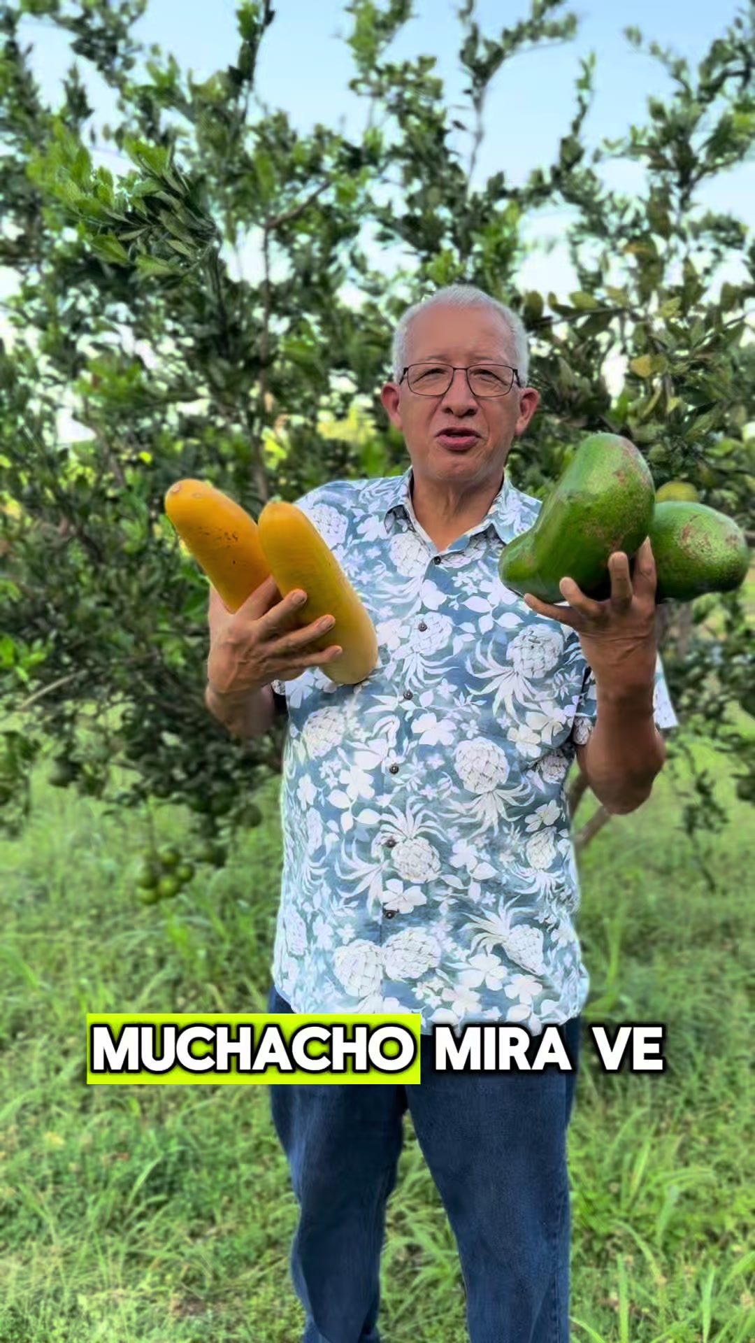 @507experiencia