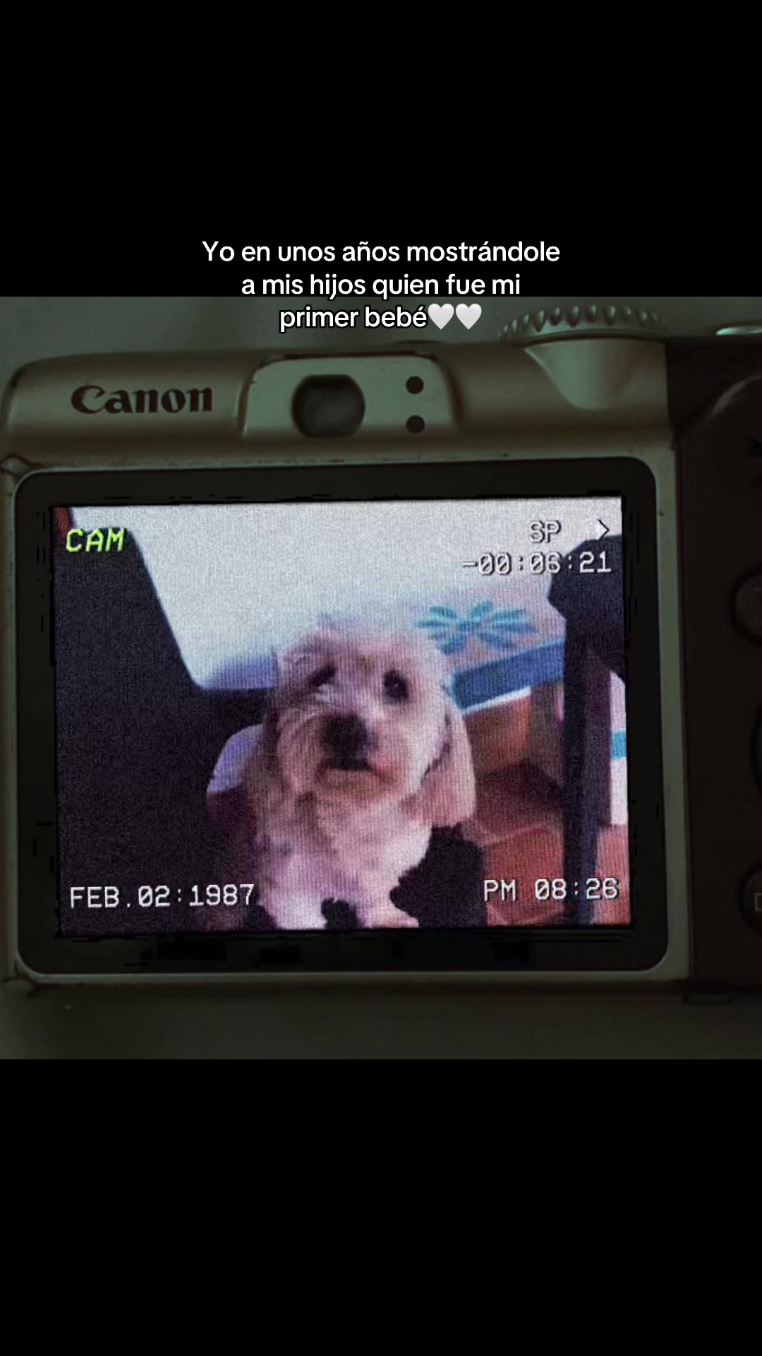 @𝐴𝑙𝑒 ✿
