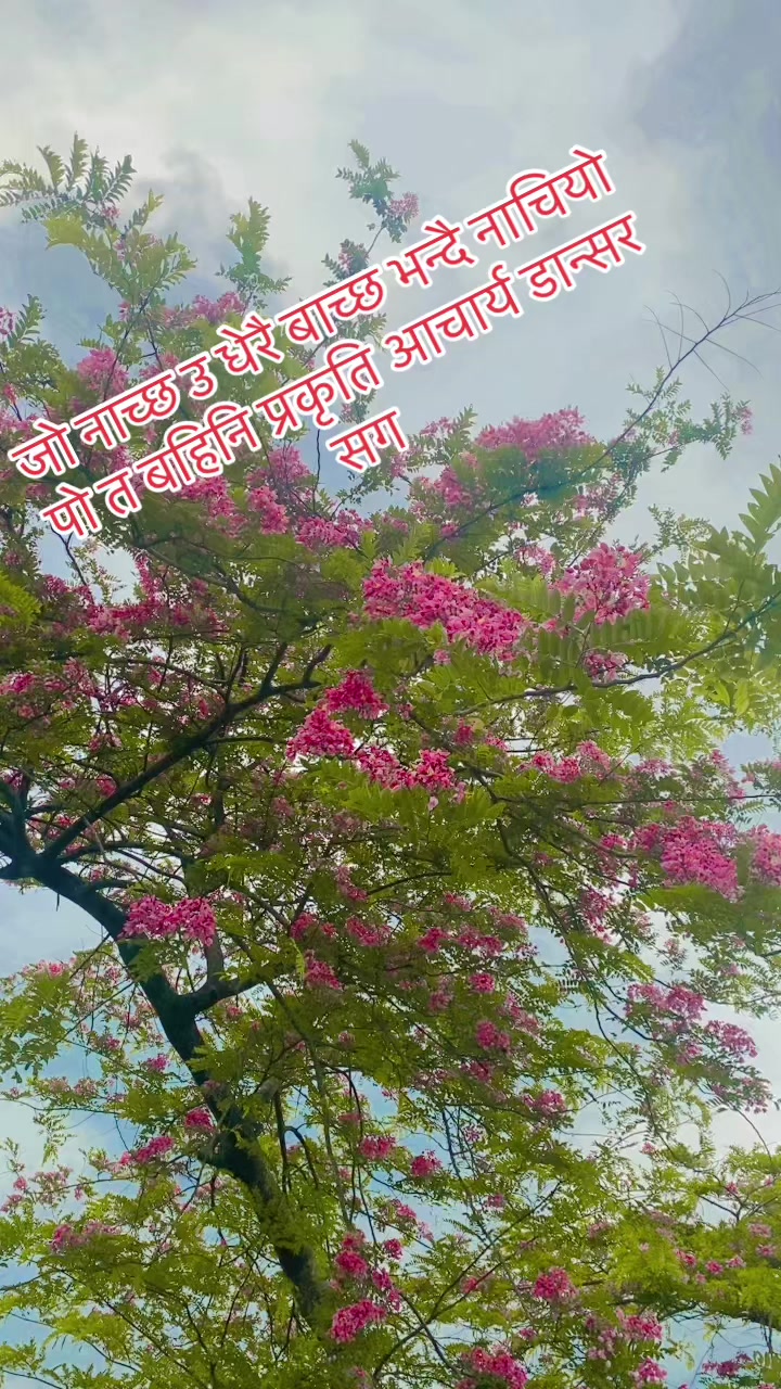 @Mr.Prakash G
