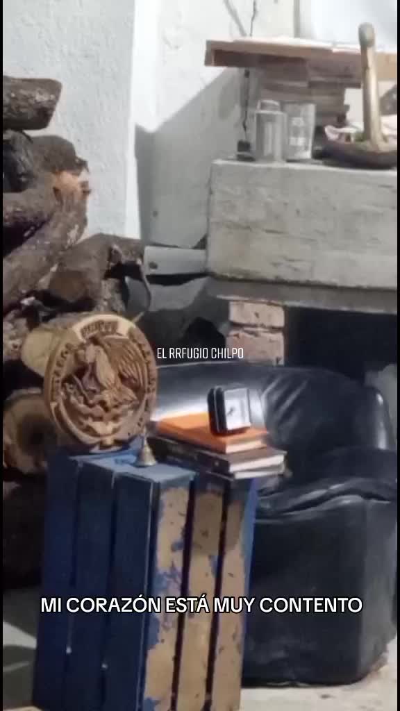 @Cézar Lupus