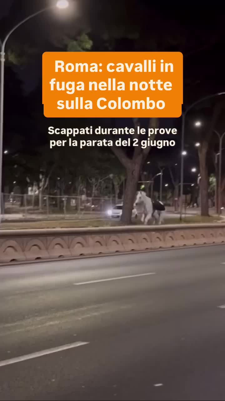 @tiziana