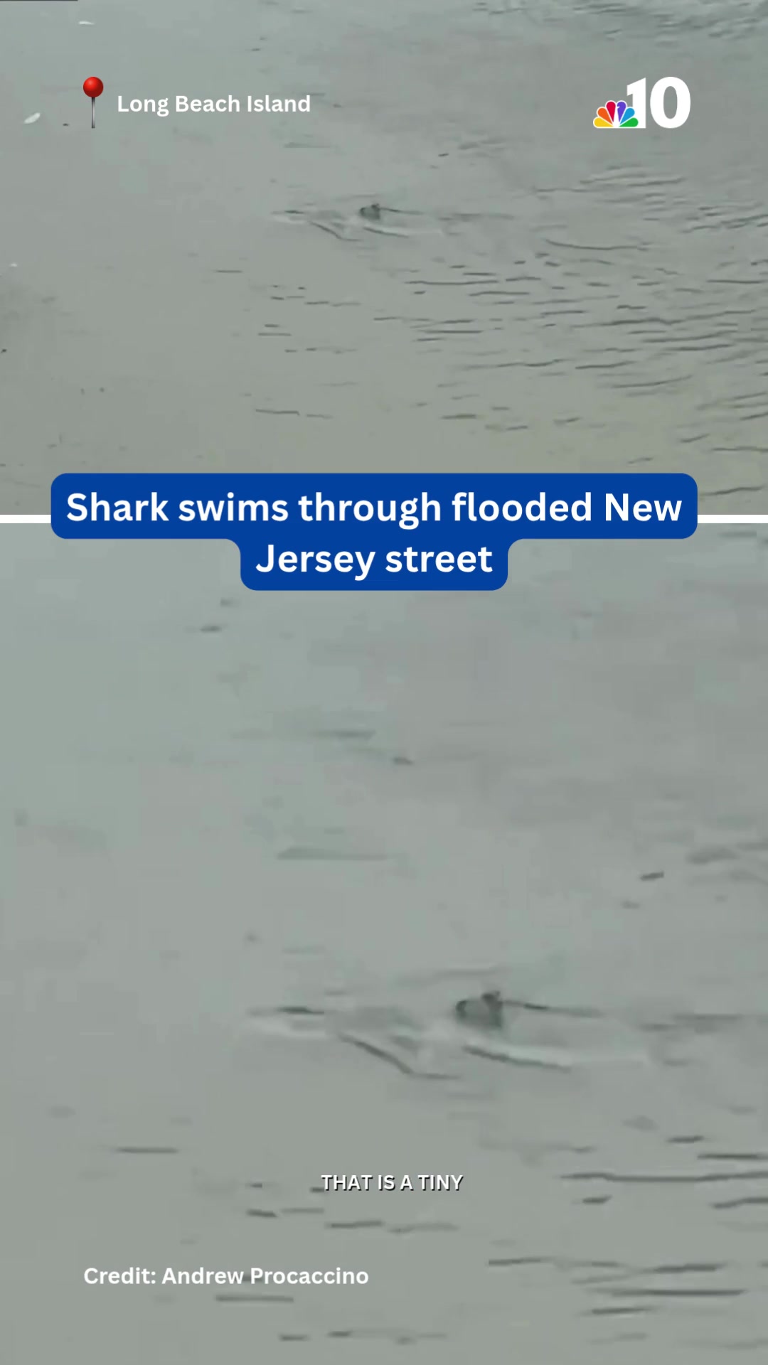 @nbcphiladelphia
