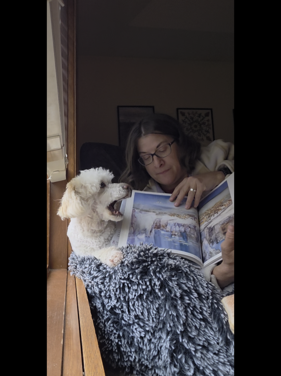 @Omaha Pet Sitter