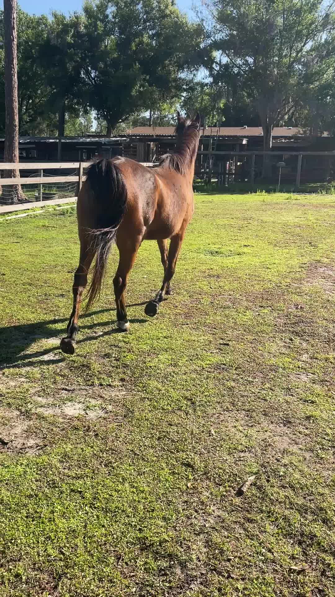 @Farmhouse Sanctuary