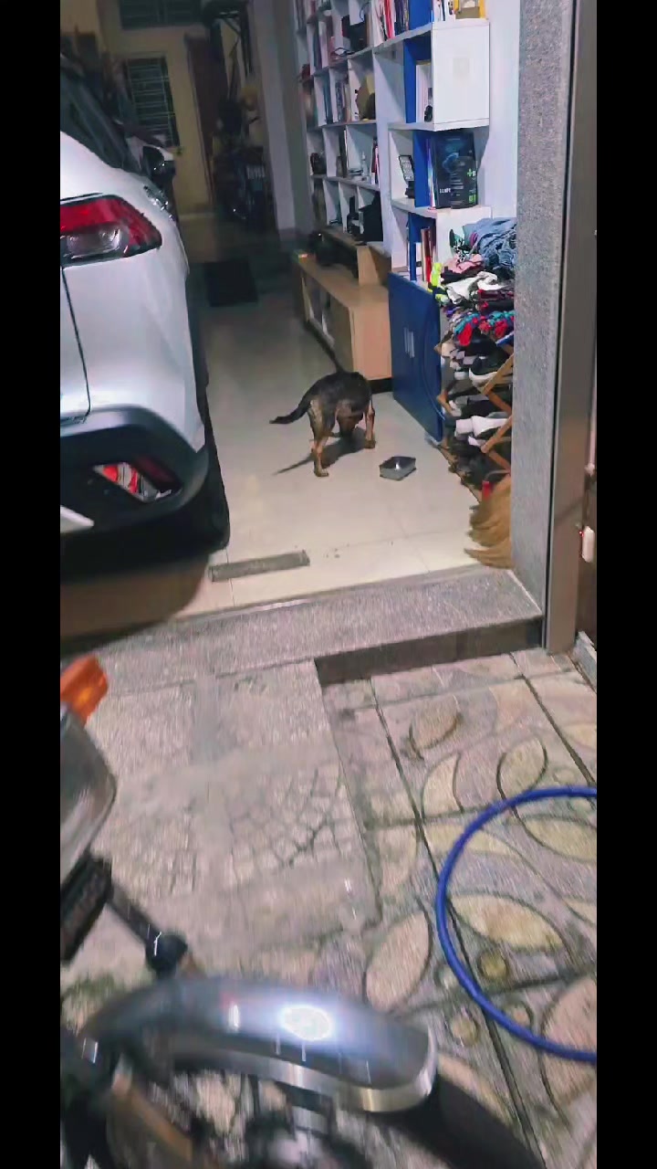 @ông già đầu tư 👴 bán sách