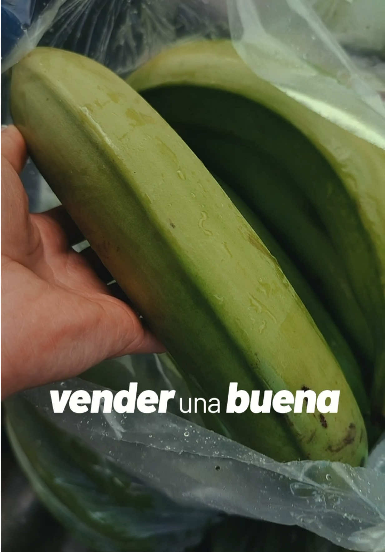 @Montoya Vélez S.A.S