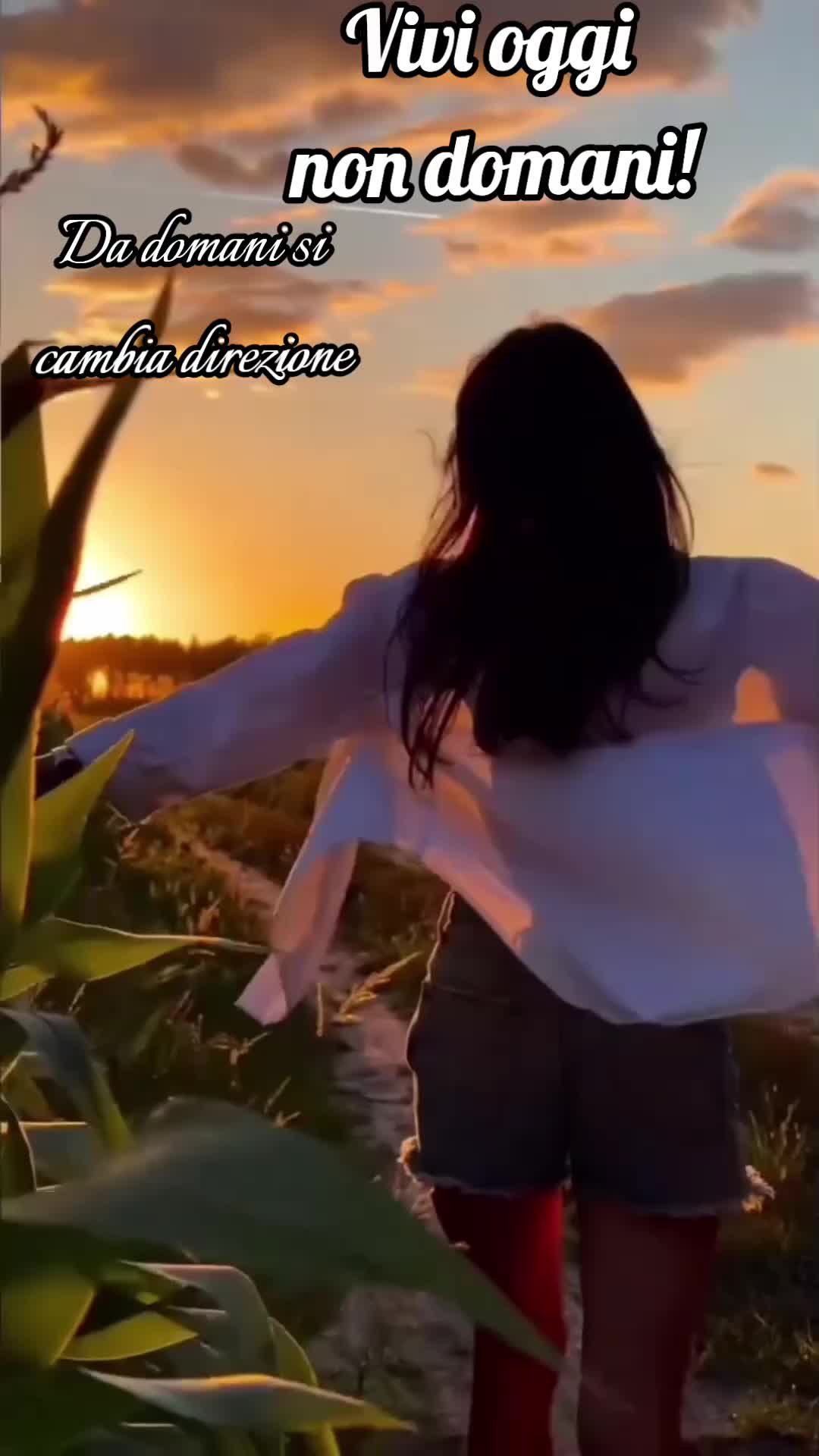 @💕🎶🎶💕