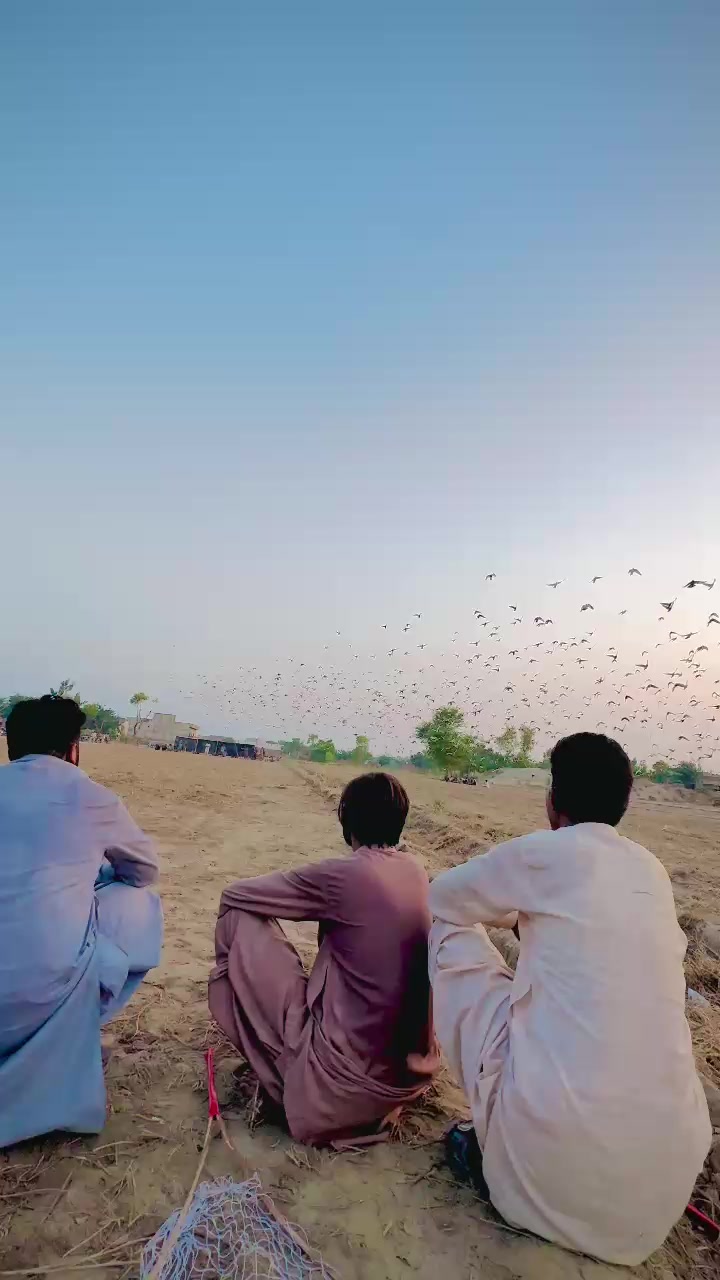 @عدیل رحمن لیہ وال کبوتر باز