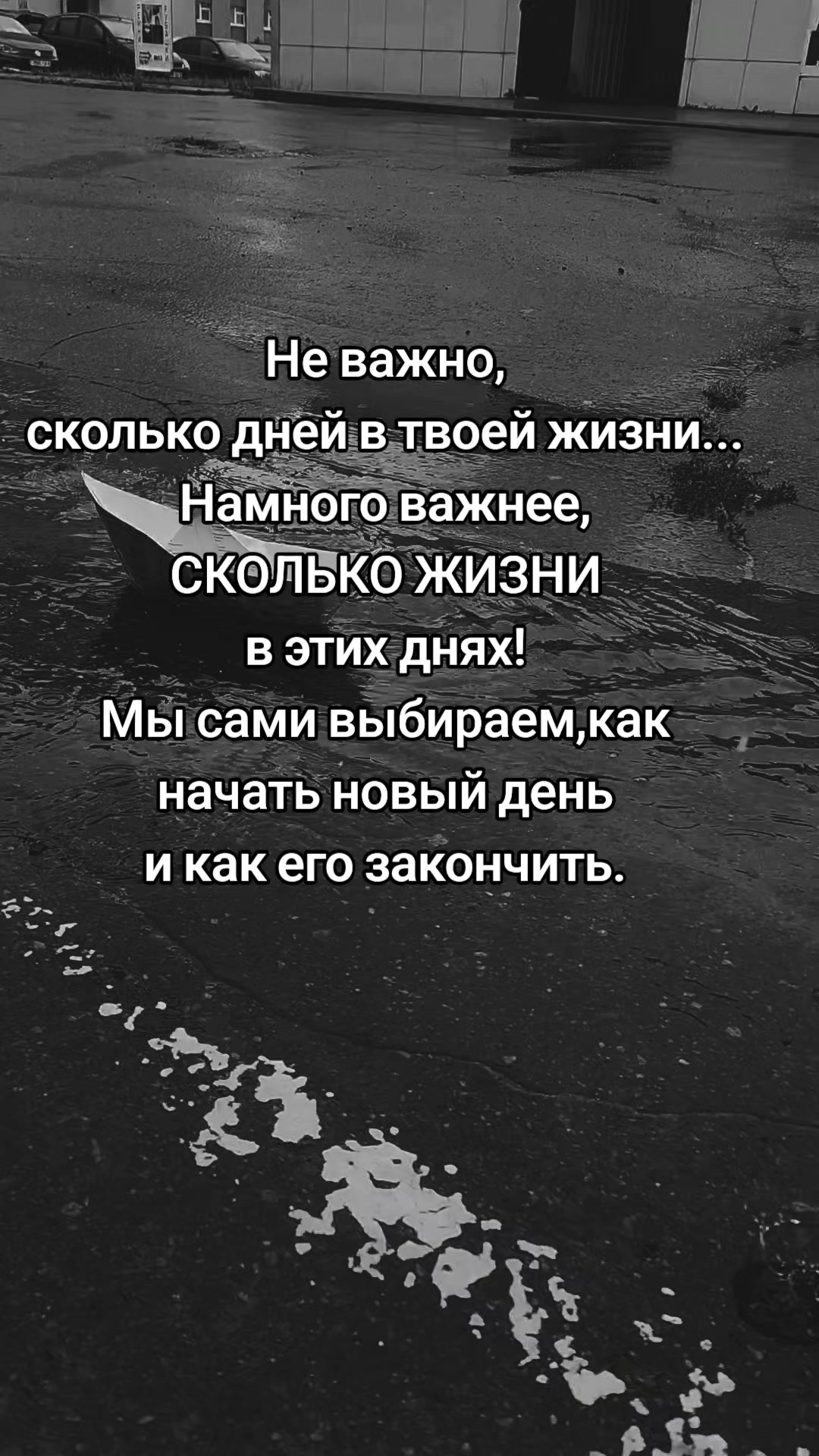 @_K.O.SH.K.A_YU_