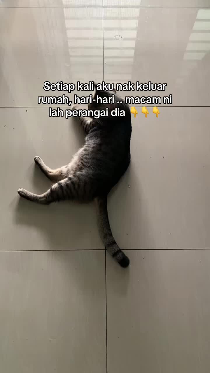 @captain ThaiTanic 🦉🍉❤️🩹