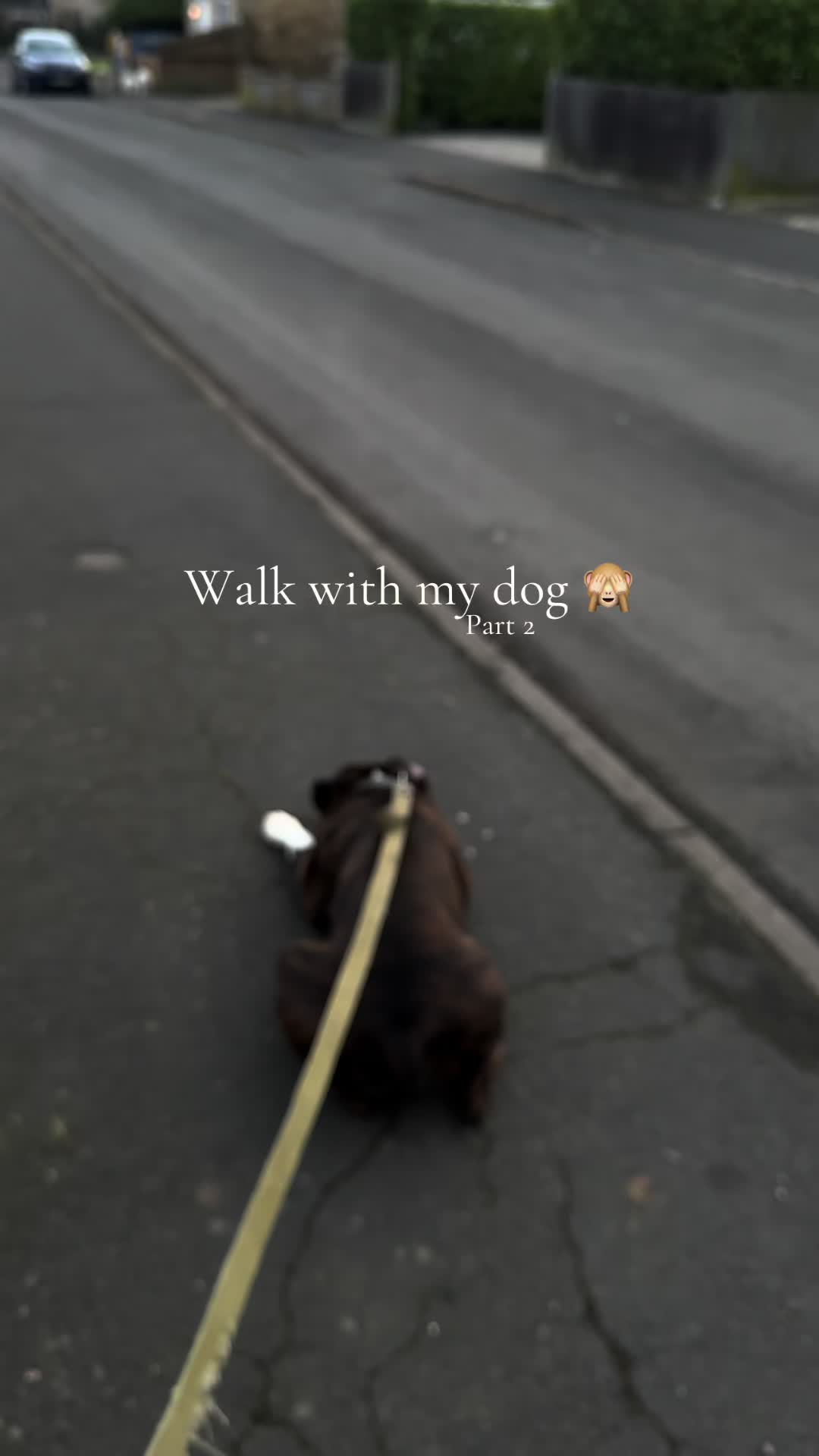 @wszystko🐁