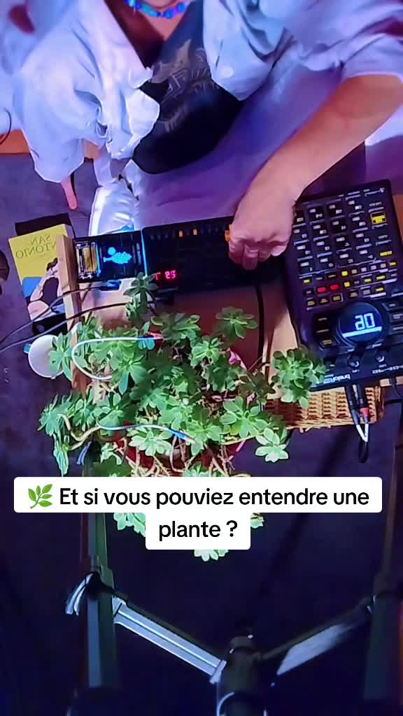 @Dr Free Fréquences