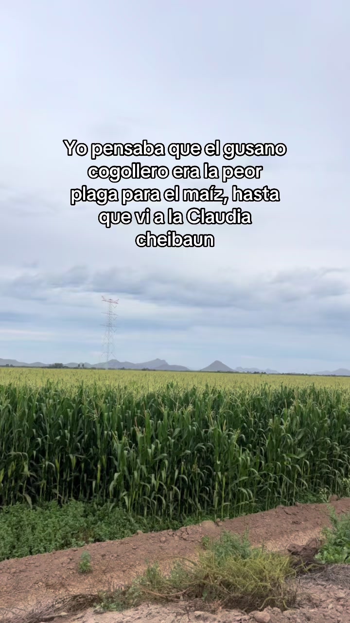 @Elpedrito19