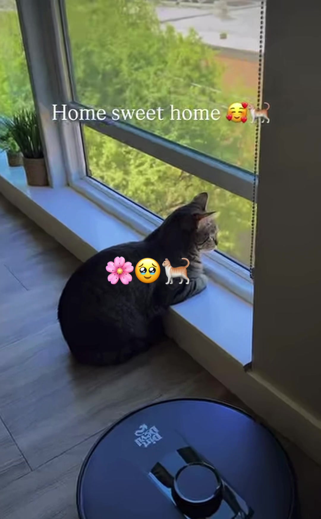 @♡𝑌𝑎𝑠𝑚𝑖𝑛☜♡☞𝐵𝑎𝑟𝑎𝑎♡
