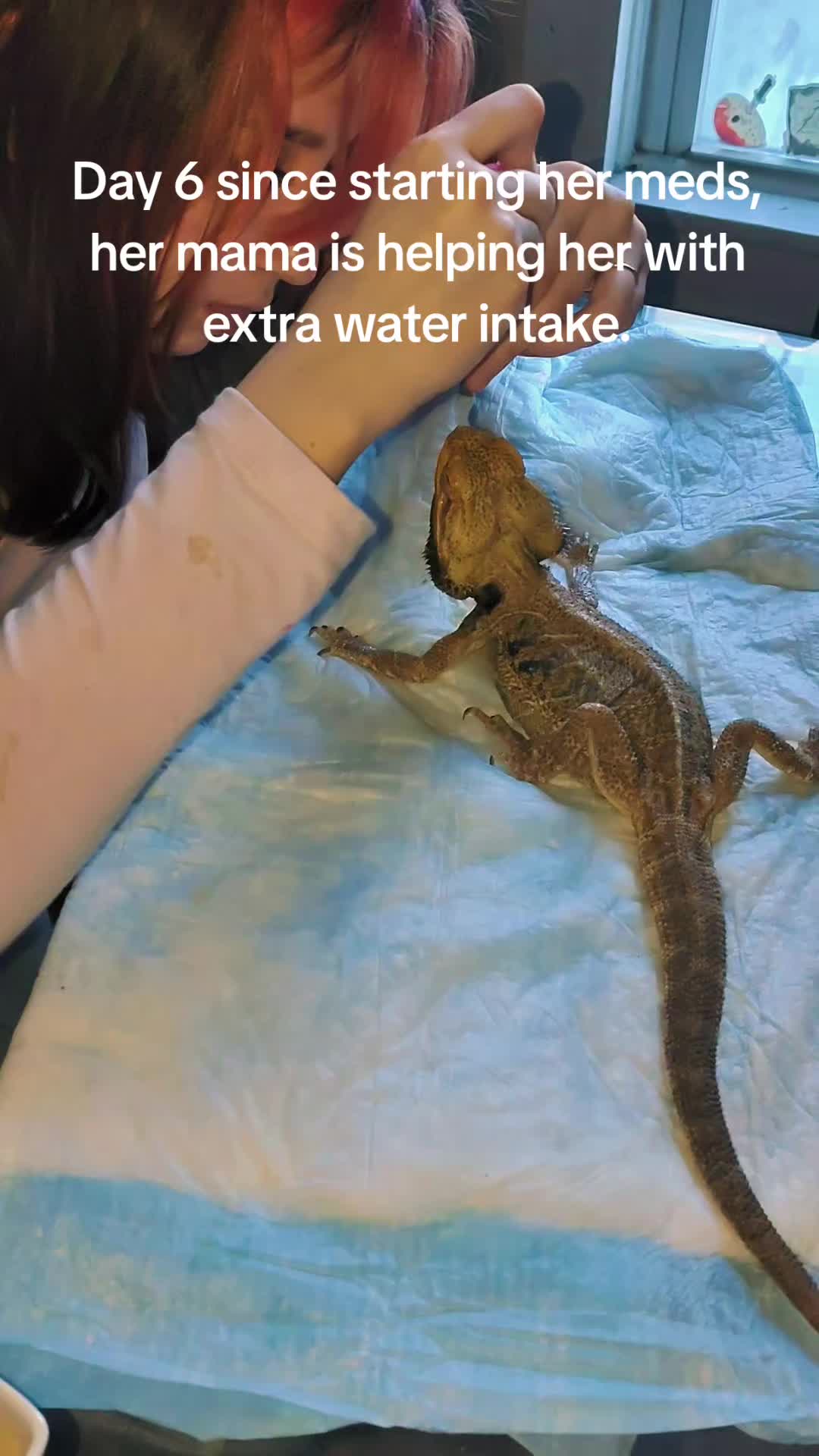 @Autii Marie