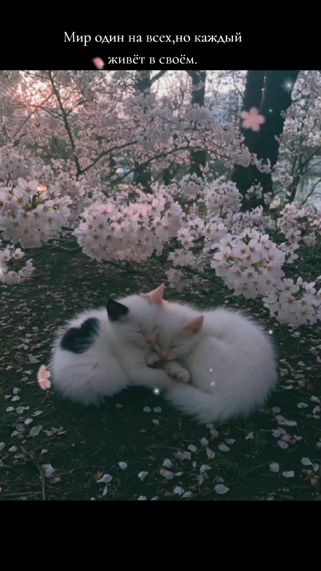 @.irina.33