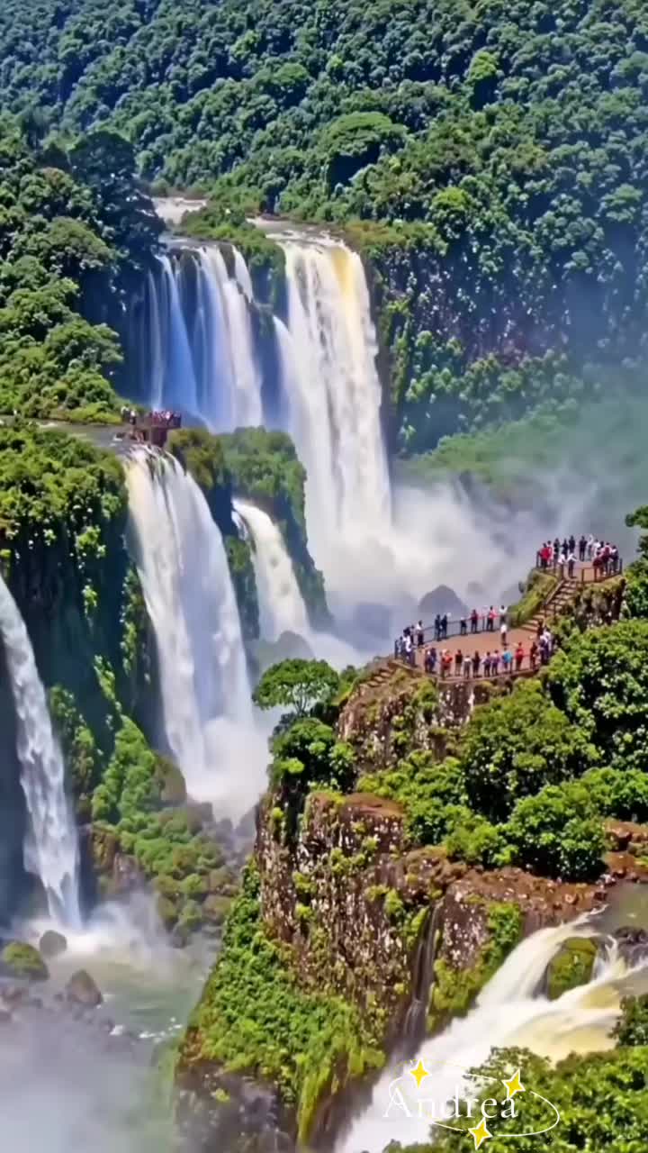 @andreacorsi298