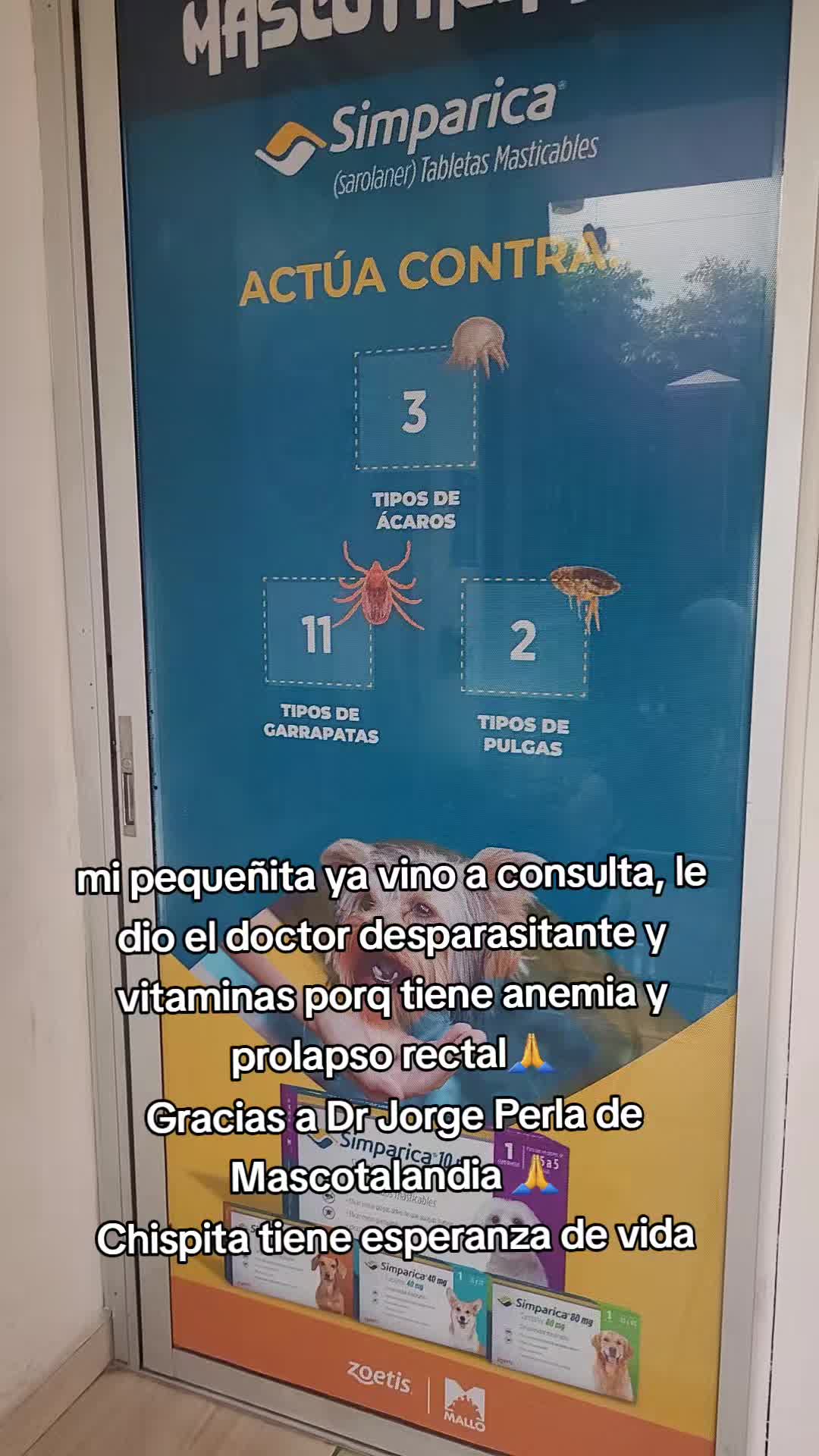 @𝕃𝕚𝕤𝕤 ℝ𝕖yes🇸🇻