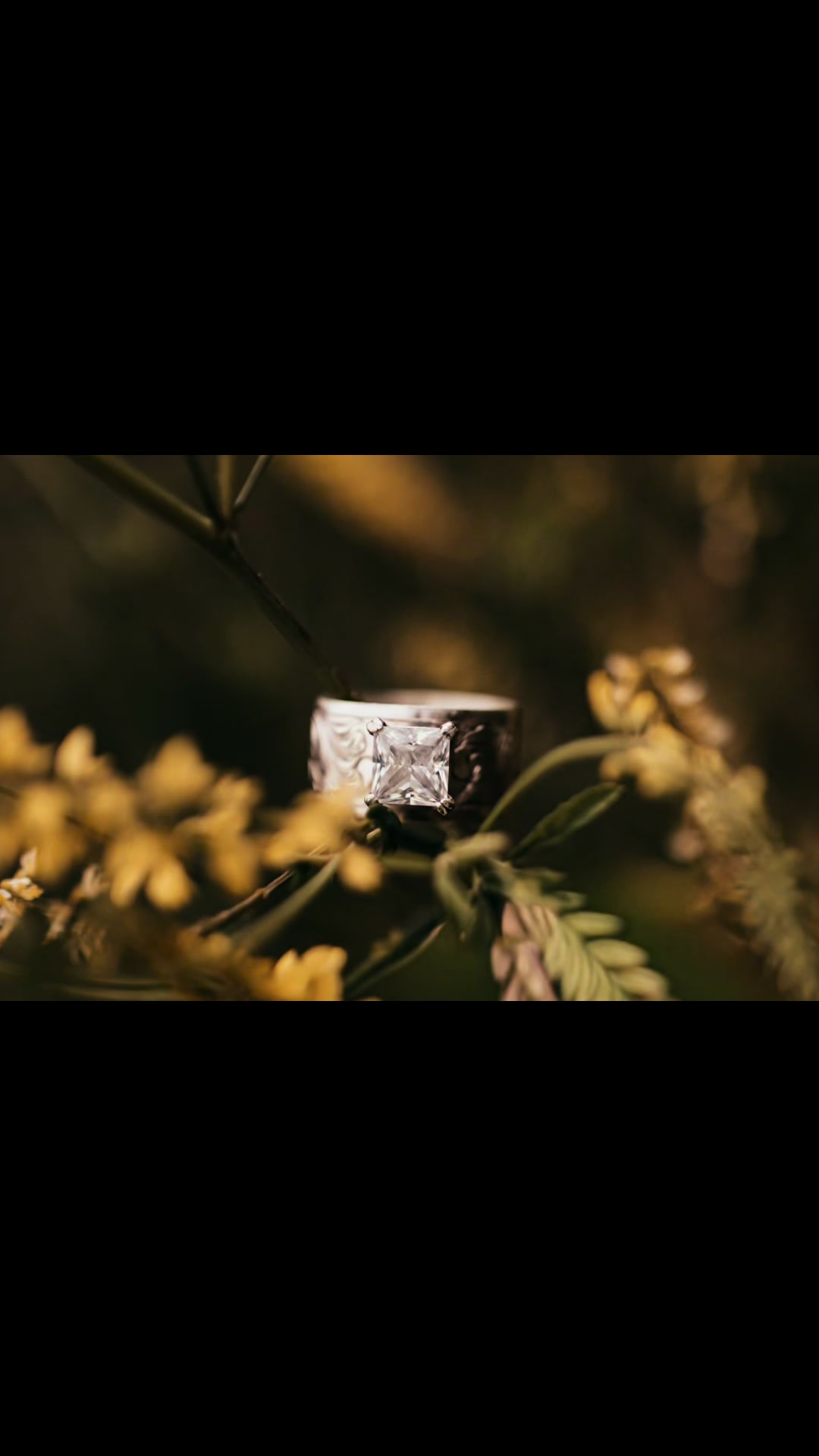 @Jerri Sparks | Photographer