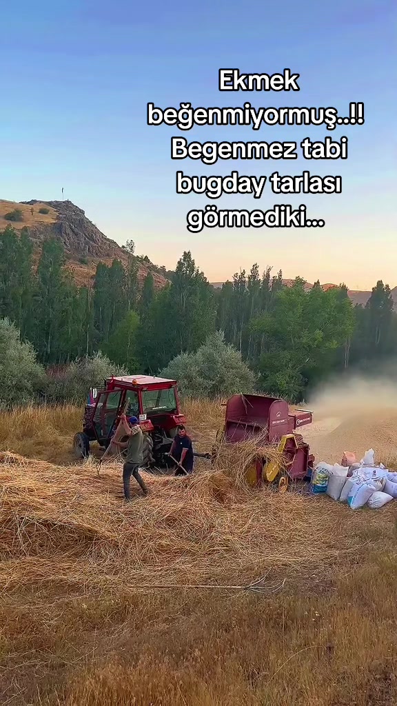 @k&ouml;yl&uuml; kızı,,