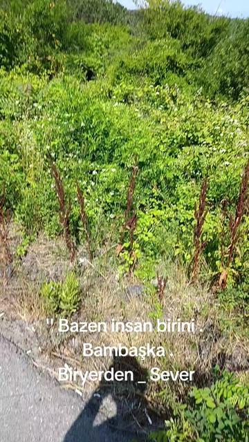 @Kerim Çiftçi