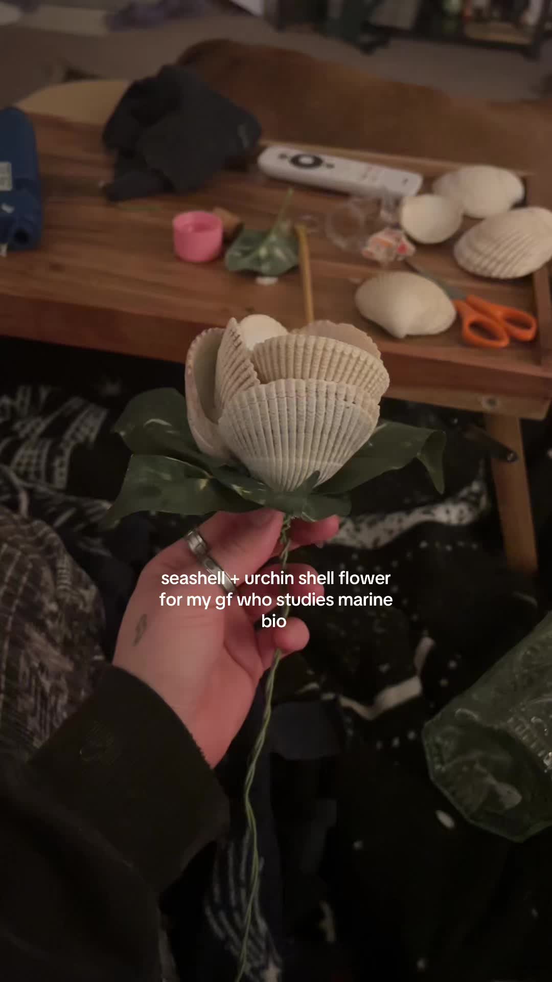 @jo.belcherr