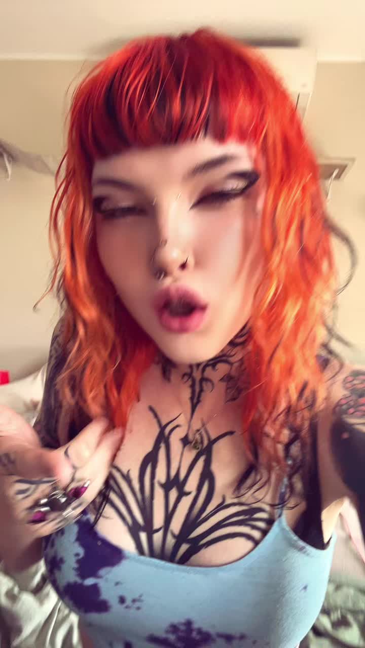@dak🕷️