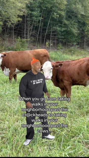 @Rachel