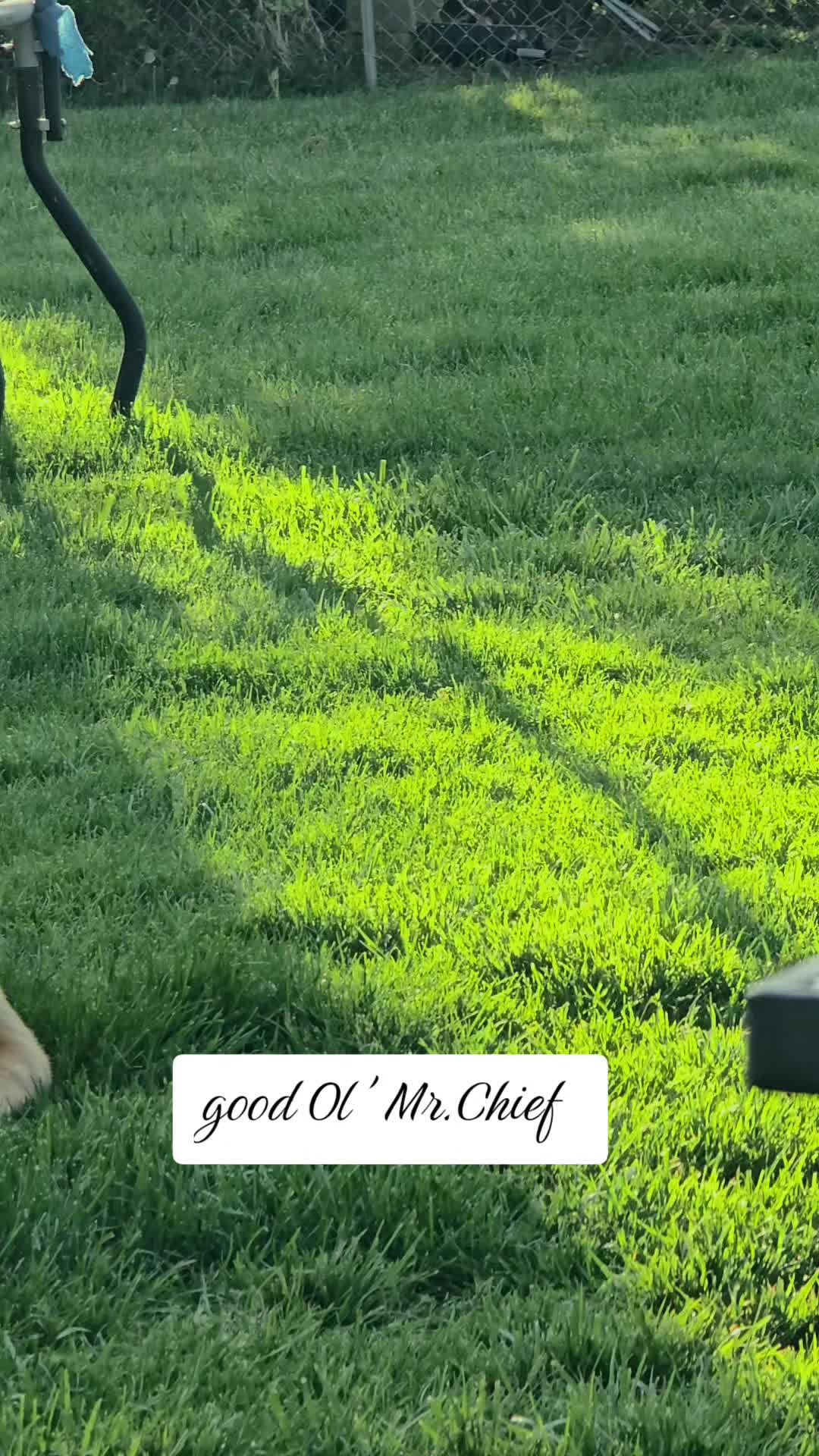 @Mr.Chief&Nova