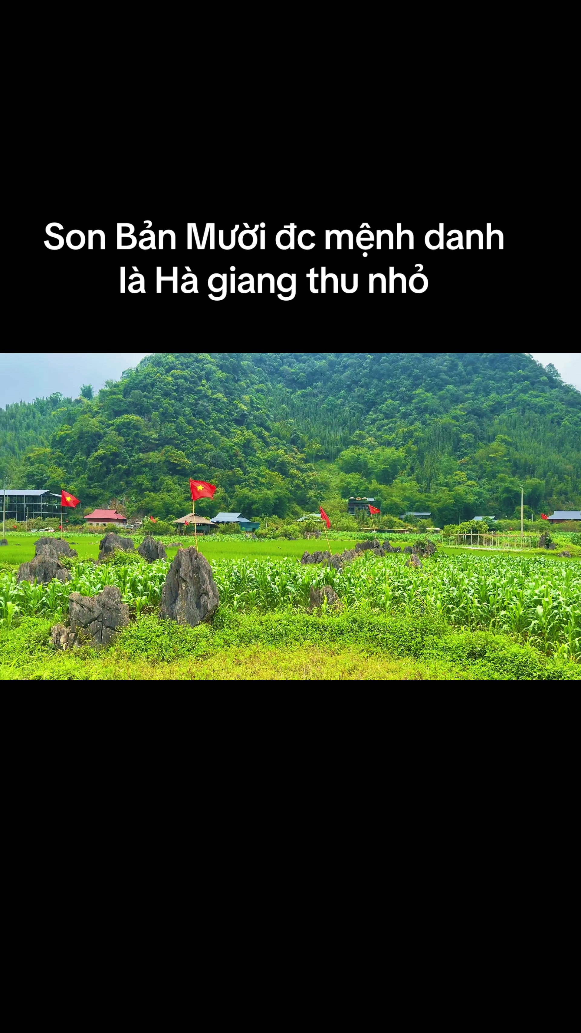 @Cúc hoạ mi🍀