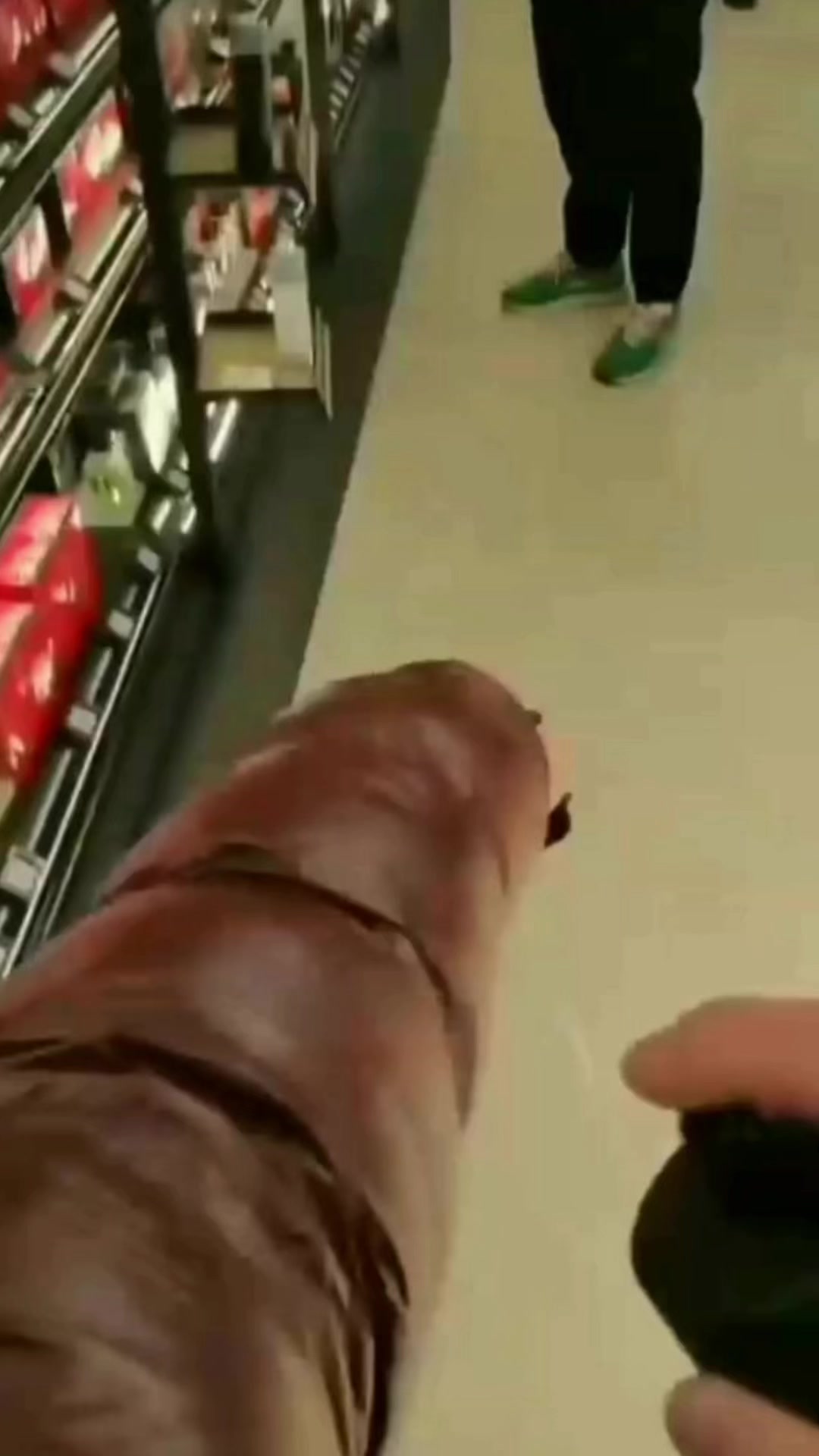 @ED PARF&Uuml;M