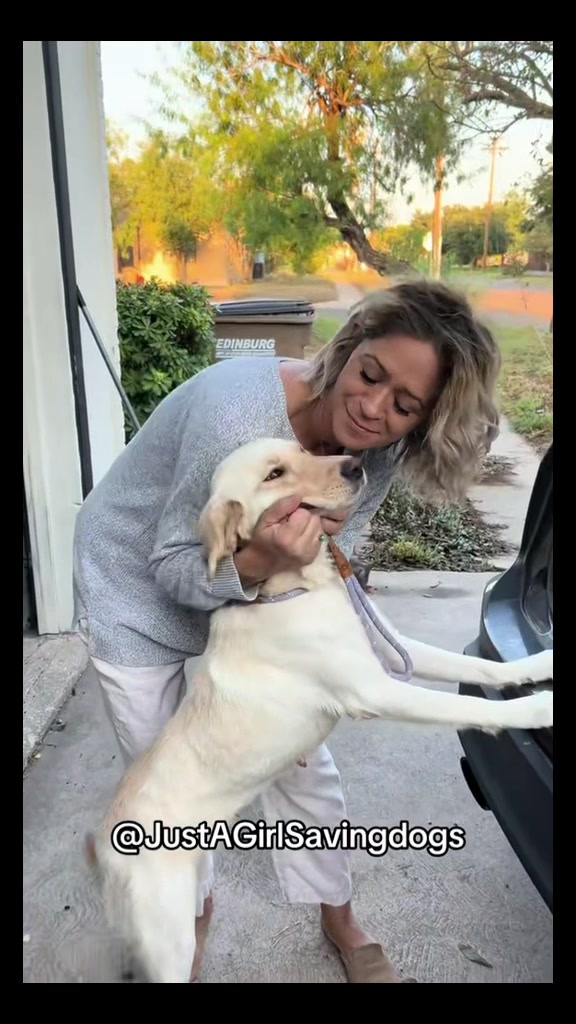 @Just A Girl Saving Dogs