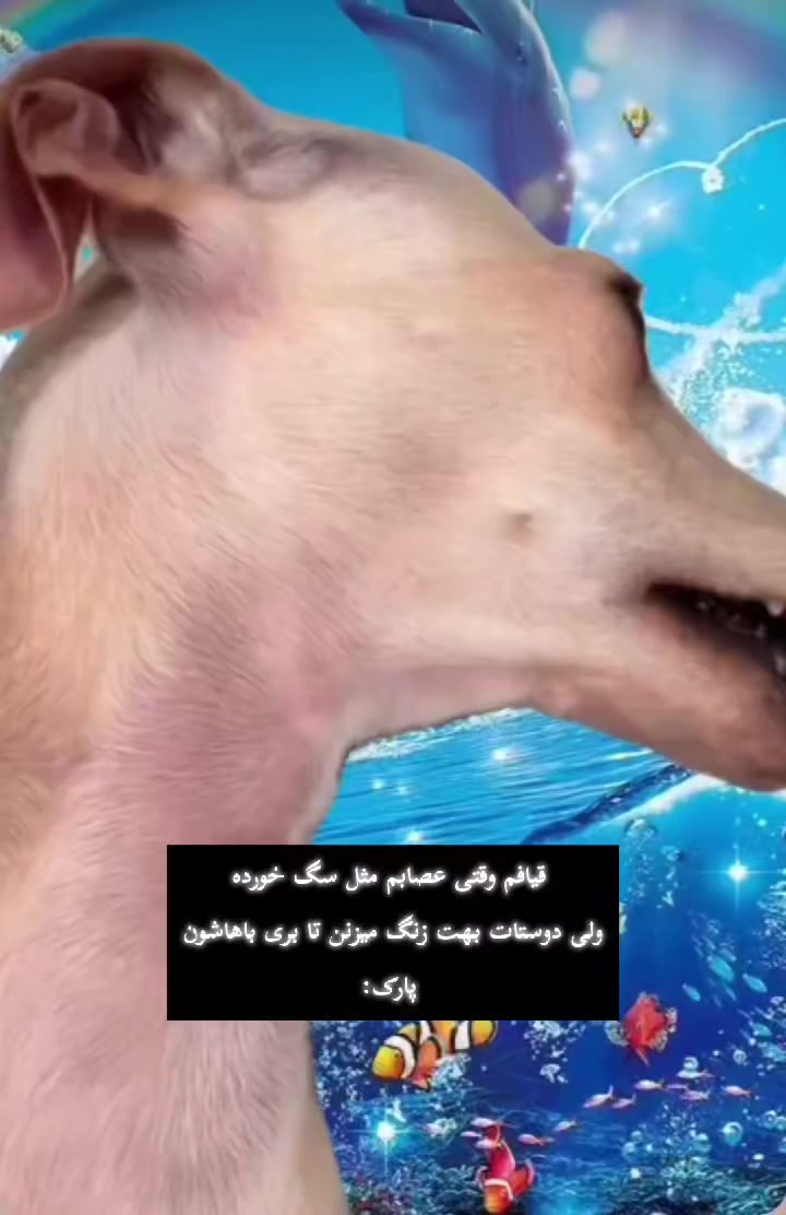 @—͟͟͞͞★𝘳𝘰𝘴𝘩𝘢🤓
