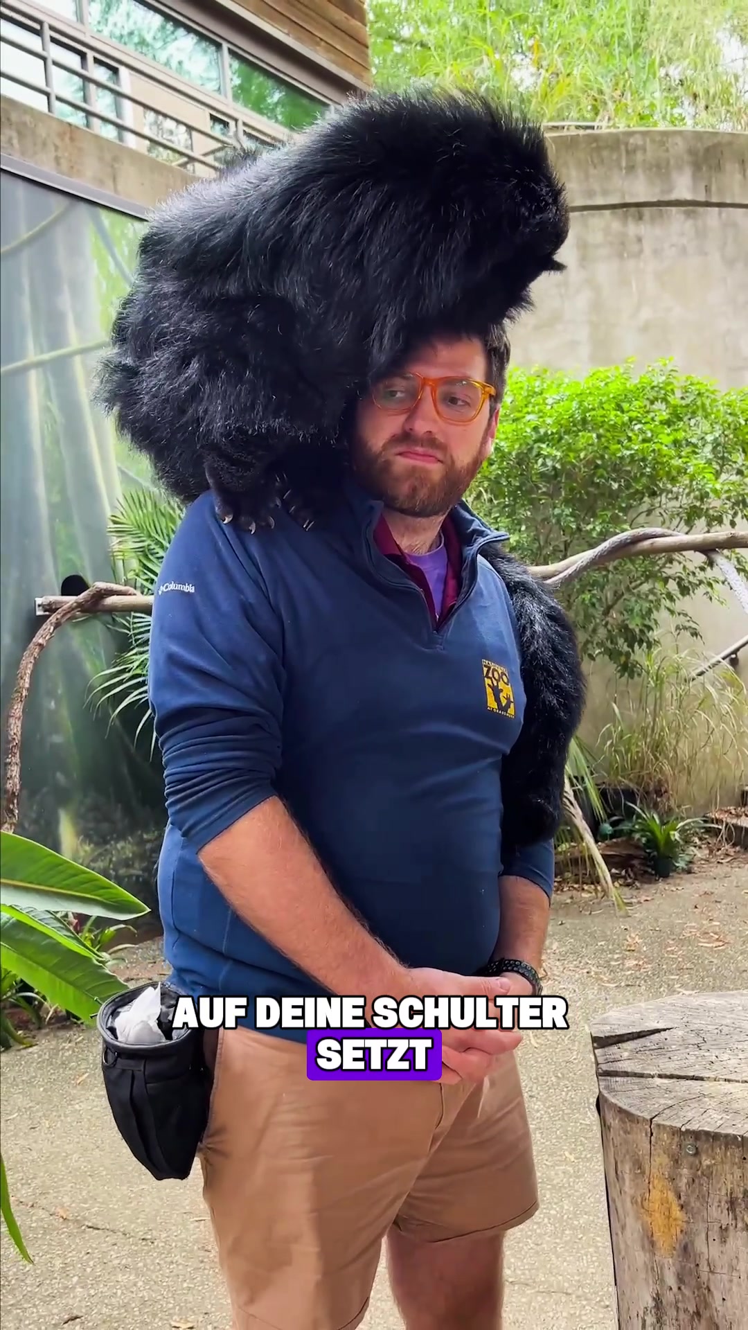 @Tierheim