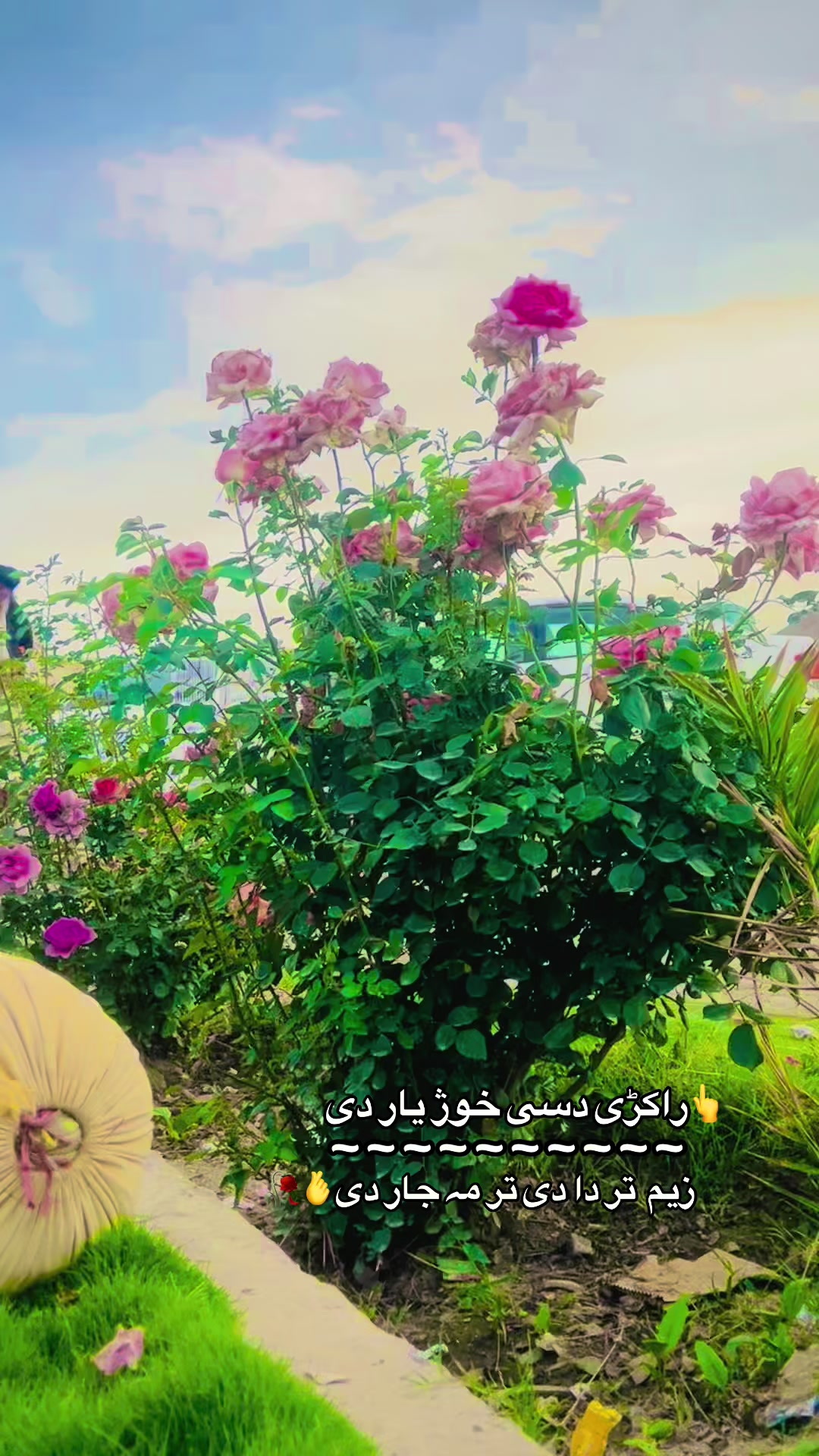 @انتظار دہ لیونیۓ جانان