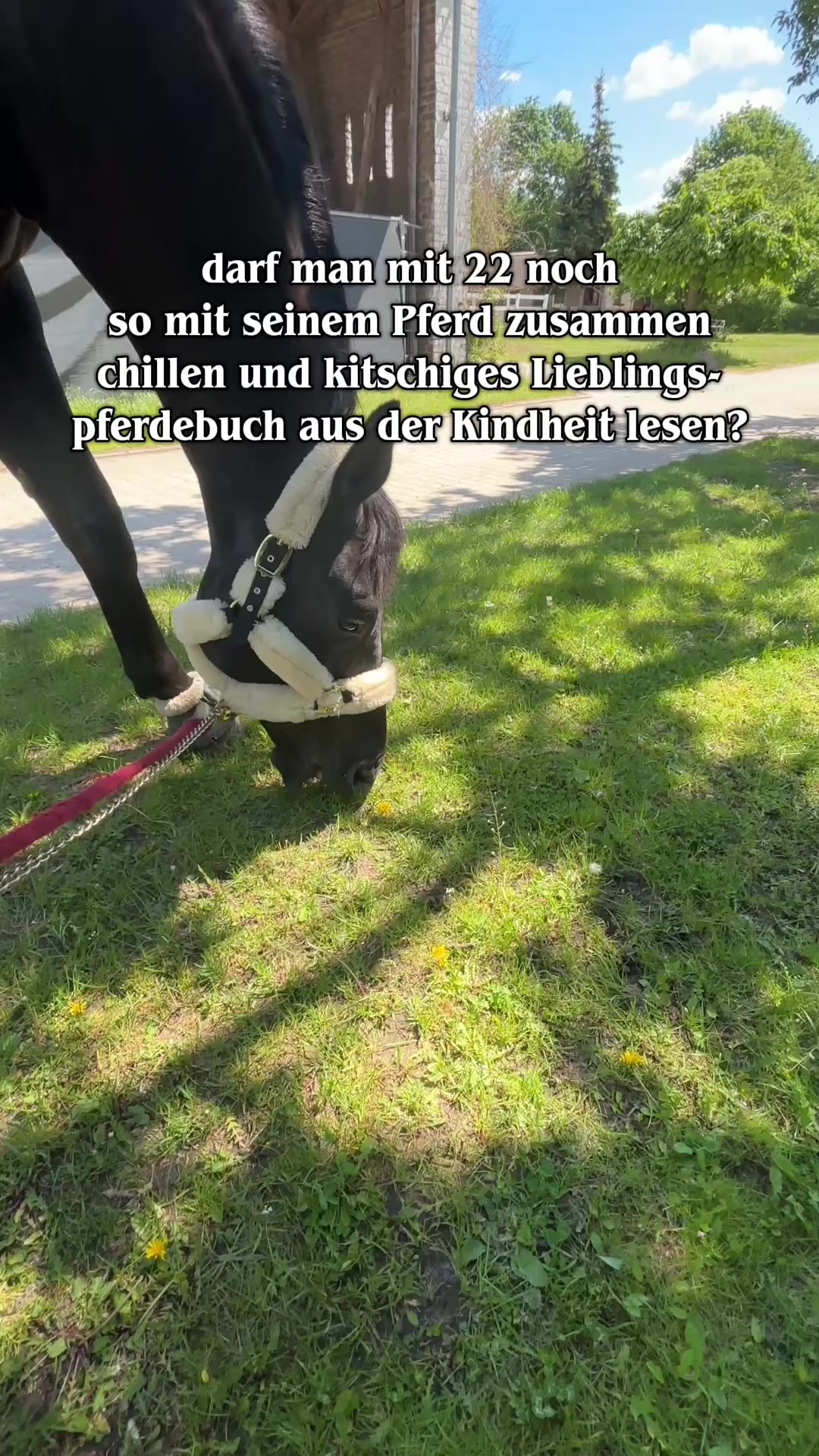 @evis.pferdechaos