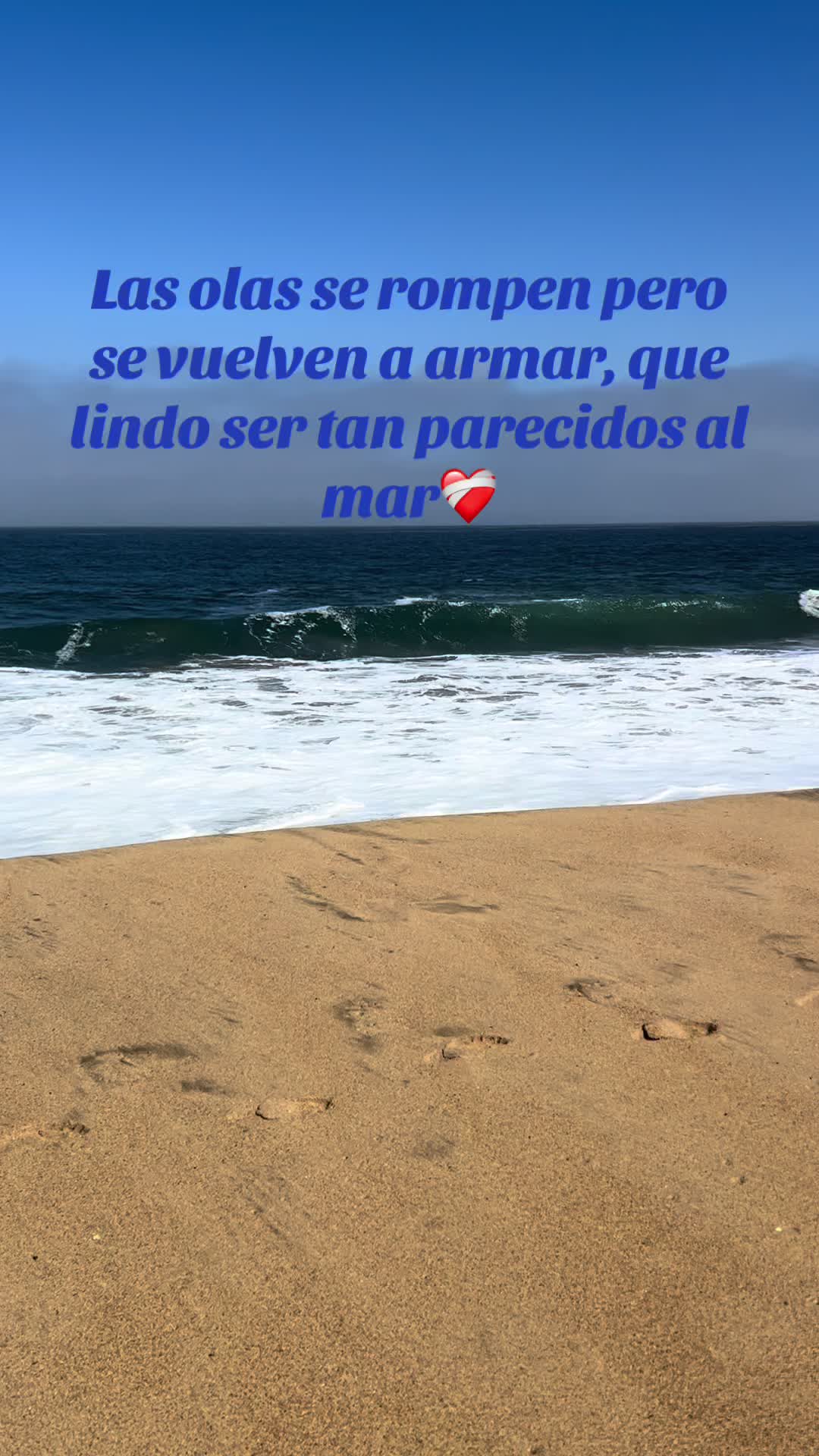 @camilabonasera153