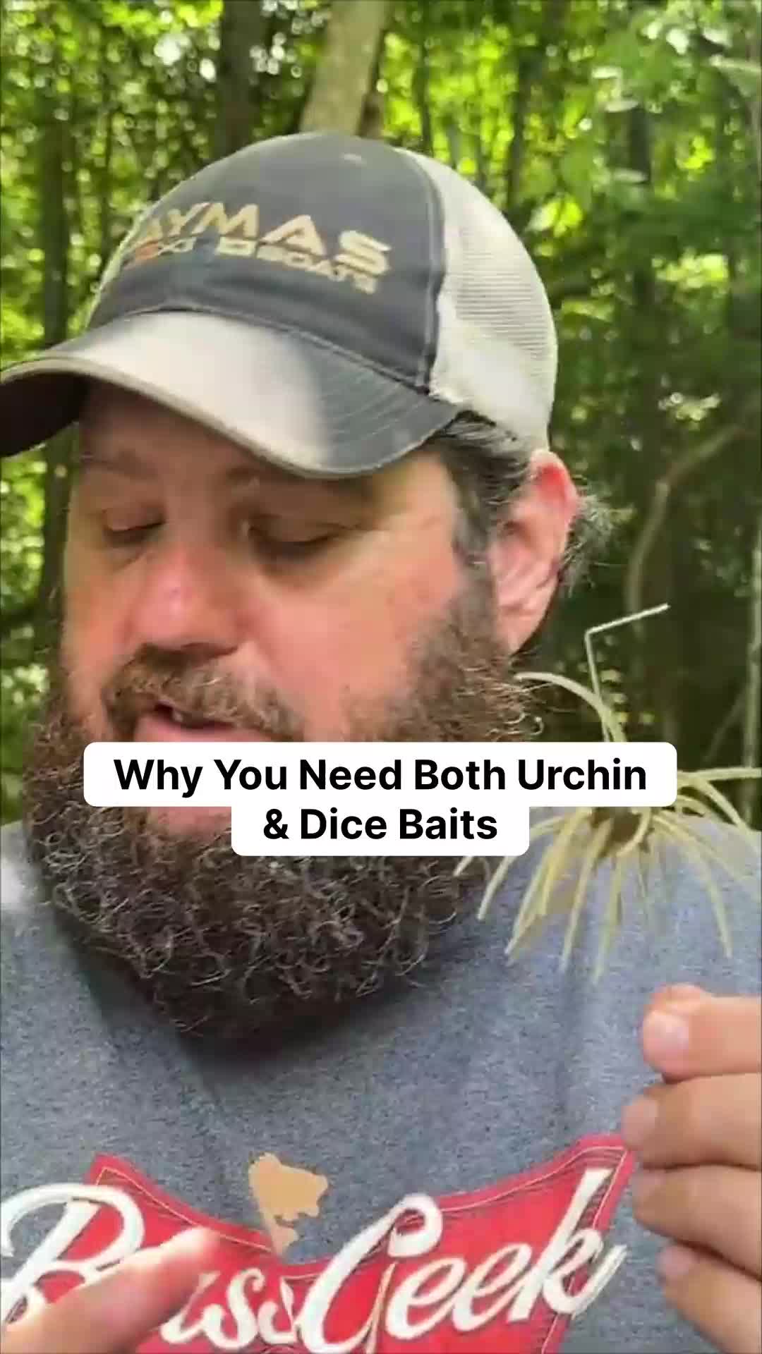@bassgeek
