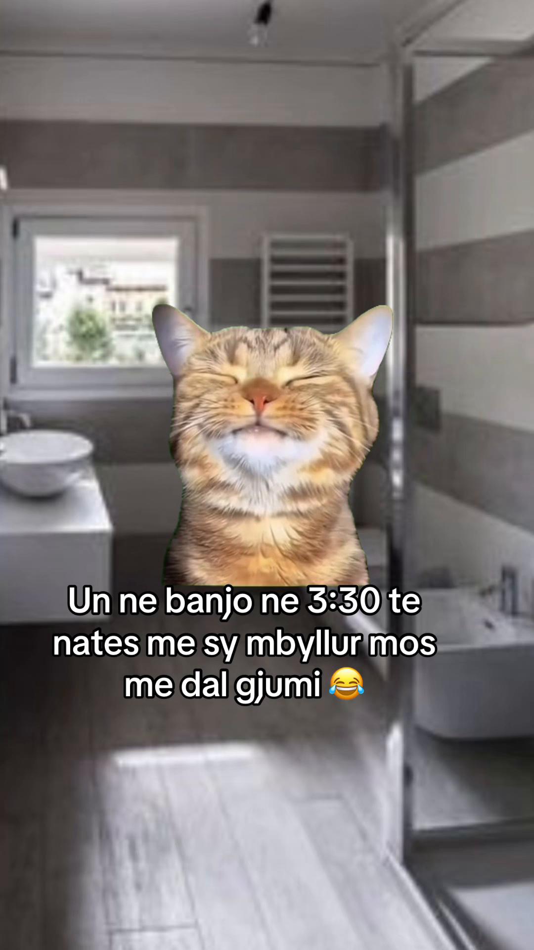 @👑Artemisa👑