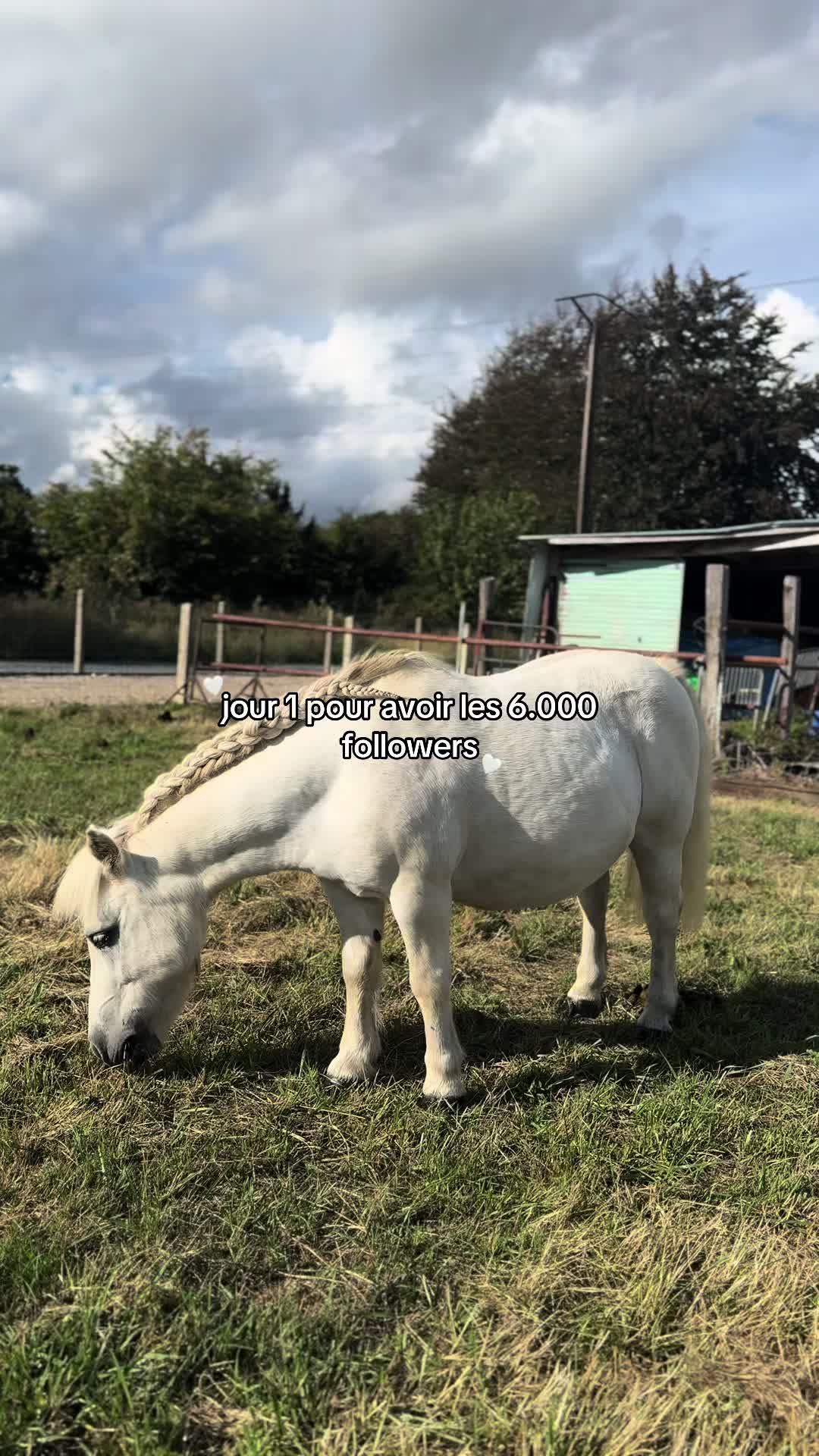 @benjyylepetitponey