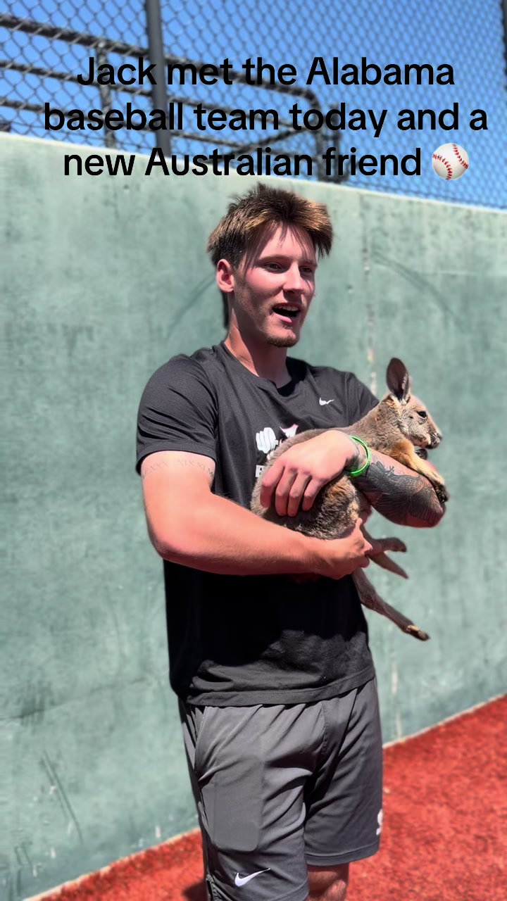 @Wild South Exotics