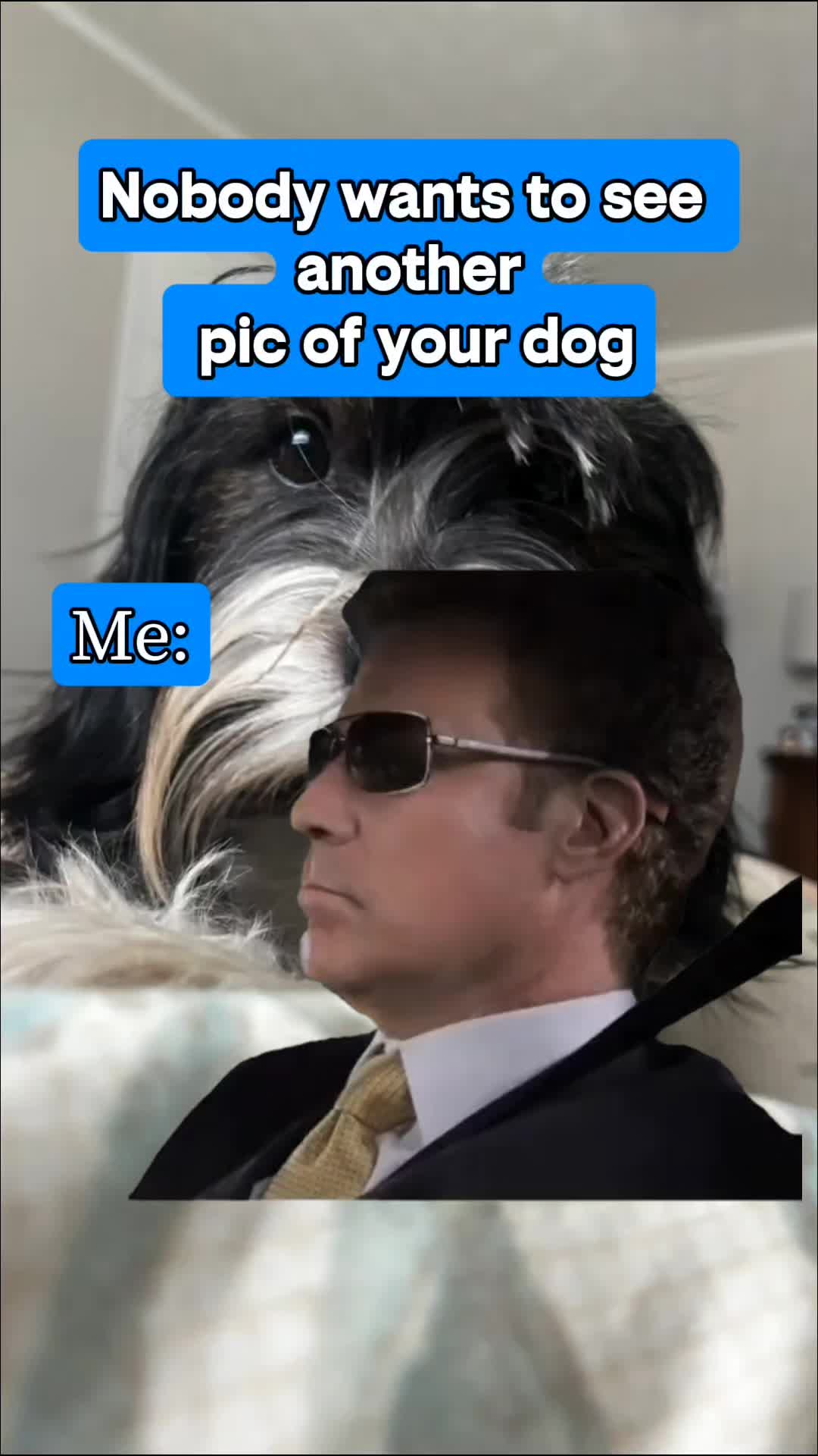 @Monica