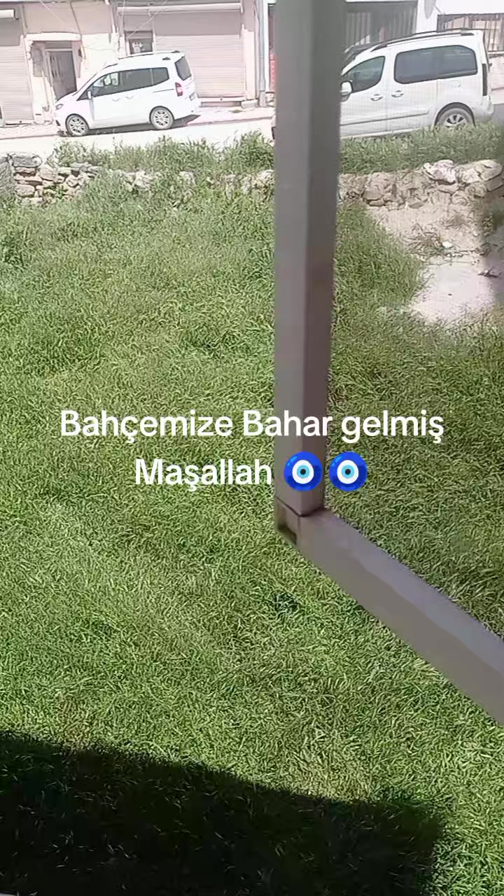 @limonçiçeği