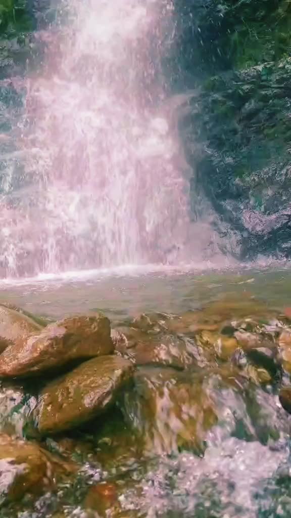 @Anar_Əliyev