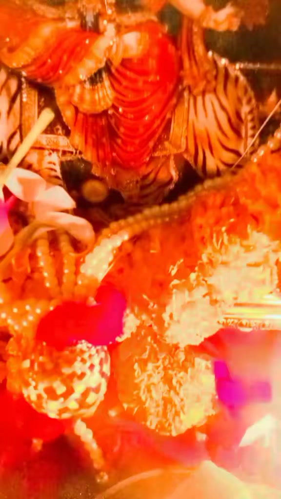 @renu_sharma1174