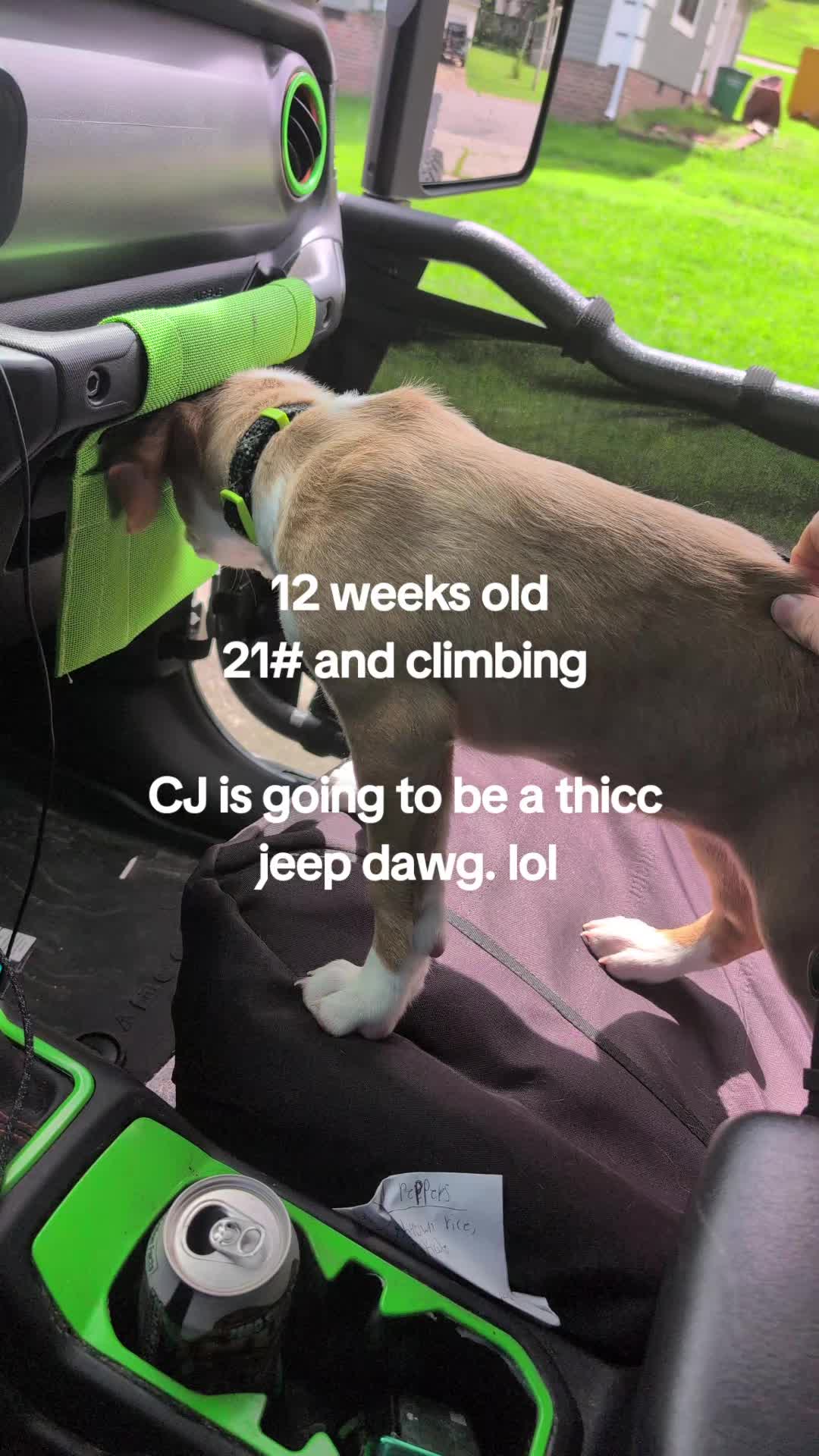 @Spartan130