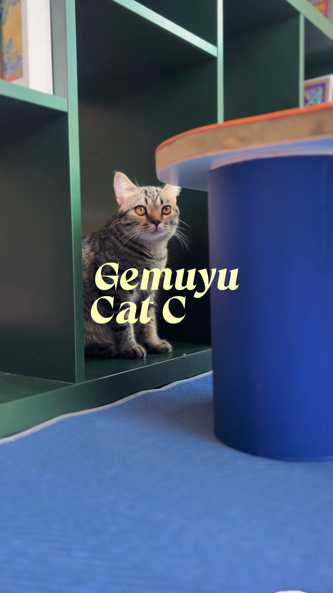 @Cafe Kucing Gemuyu
